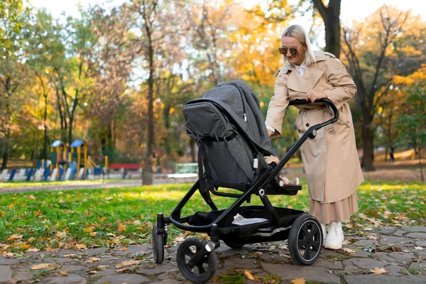 Μητέρα Καροτσάκι Μωρού Περπατώντας Στο Πάρκο Φθινόπωρο — Φωτογραφία Αρχείου