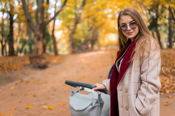 Retrato Madre Bonita Con Cochecito Parque Ciudad — Foto de Stock