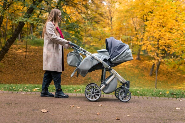 Mãe Com Carruagem Bebê Andando Parque Outono Vista Lateral — Fotografia de Stock