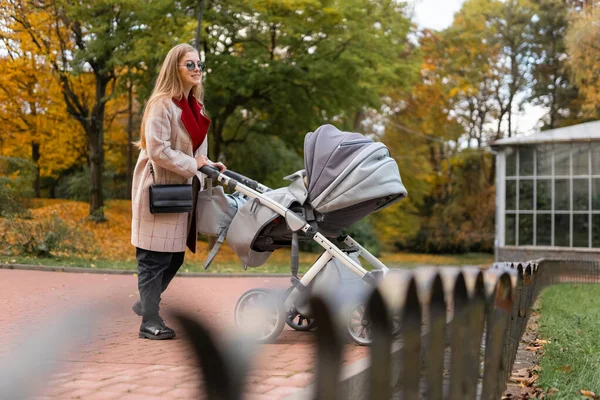 Mãe Com Carrinho Passeio Parque — Fotografia de Stock