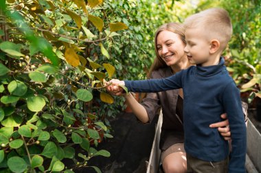 Annem oğlunu fabrikaya göstermek için seraya götürdü.