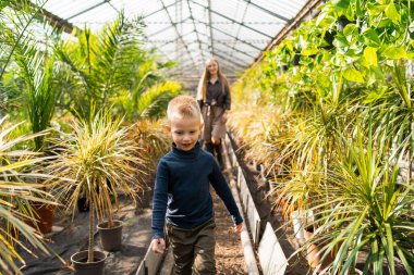 Anne ve oğlu çiçeklerle dolu bir serada yürüyorlar.