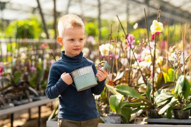 Serada elinde su kovası olan sevimli bir çocuğun portresi.