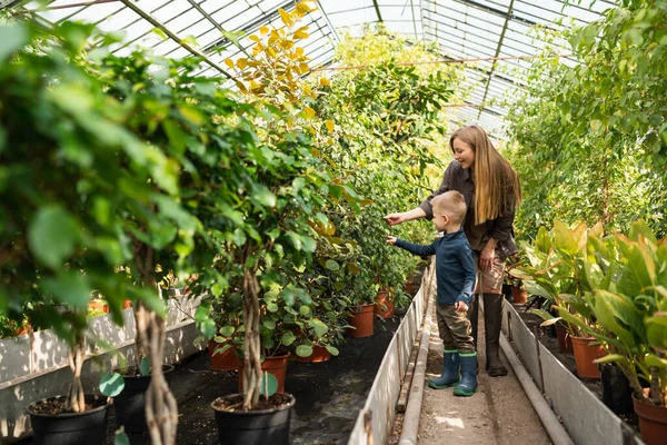 Mom Son Walk Flower Greenhouse — Foto de Stock