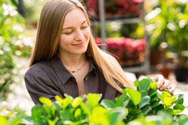 Çiçekçinin çiçek yapraklarıyla ilgilenen güzel kadın portresi.