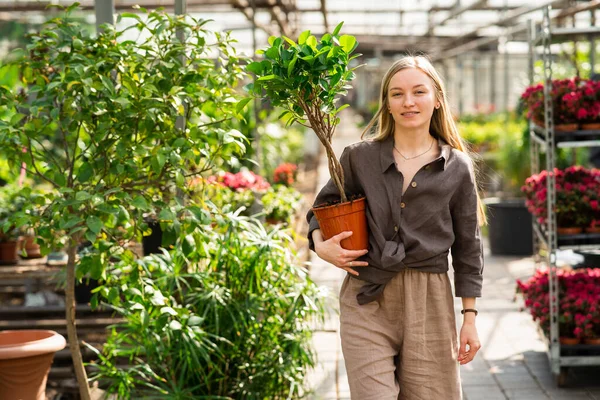 Portrait Woman Florist Greenhouse Potted Plant Her Hand — Stock Photo, Image