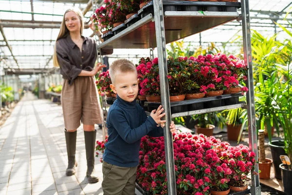 Mamma Och Son Kör Vagn Med Blommor Ett Växthus — Stockfoto