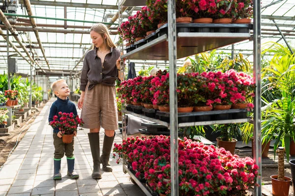 Anya Fia Egy Üvegházban Dolgoznak Virágokkal — Stock Fotó