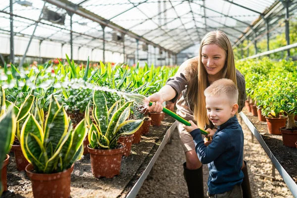 Kvinna Som Arbetar Växthuset Lär Sin Son Att Vattna Växterna — Stockfoto
