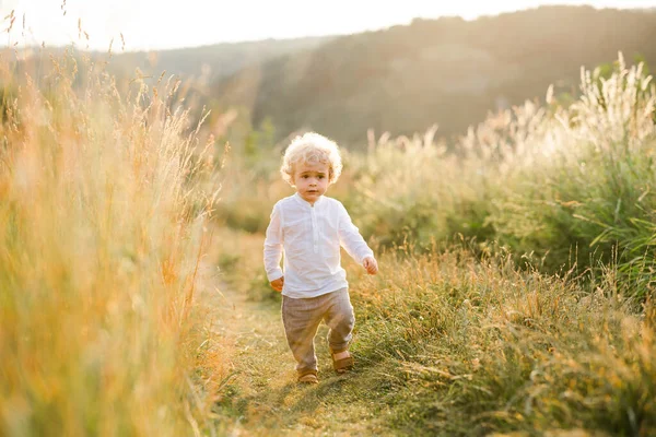 Kleiner Junge Auf Dem Feld — Stockfoto