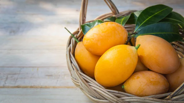 Maprang meyvesi, Marian eriği, veya erik mangosu, adı Bouea makrophylla Griff, Oval meyve, sarıdan turuncuya olgun meyve. Sulu hamurlu, ekşi veya tatlı meyve suyu