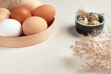 Farklı boyutlarda yumurtalar paketlerde. Çiftlik tavuğu ve bıldırcın yumurtası. Sağlıklı yeme kavramı