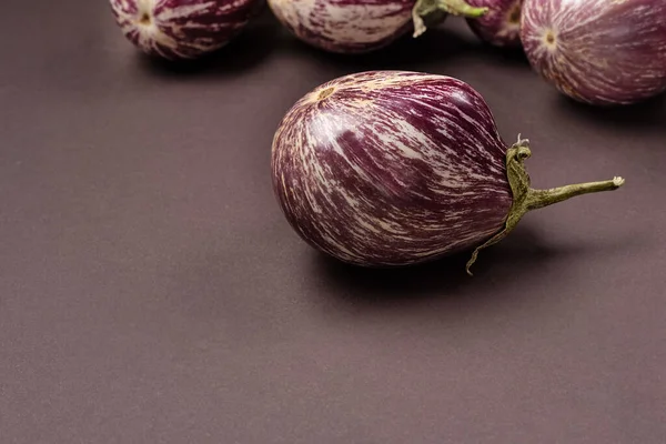 Eggplant Unusual Shape Dark Background Organic Products Concept Striped Eggplant — Stock Photo, Image