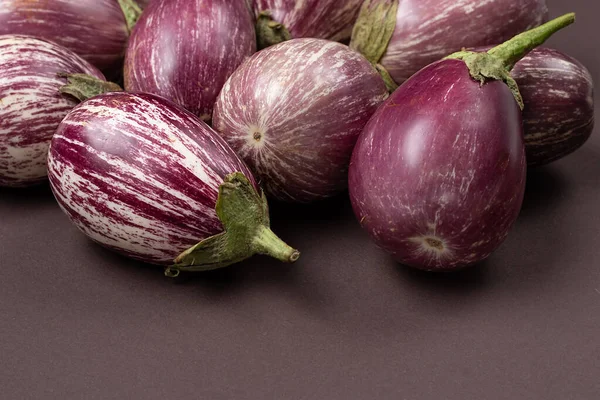 Aubergine Rayée Sur Fond Sombre Accueil Récolte Produits Biologiques Concept — Photo