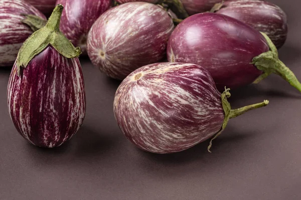 Striped Eggplant Dark Background Home Harvest Organic Products Concept — Stock Photo, Image