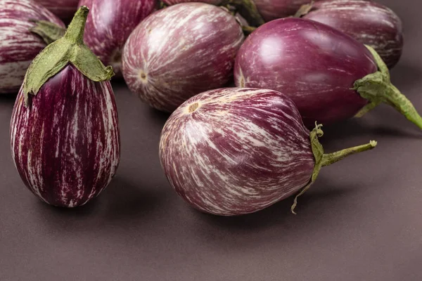 Aubergine Rayée Sur Fond Sombre Accueil Récolte Produits Biologiques Concept — Photo