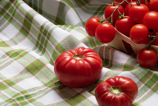 Tomates Enormes Forma Irregular Varietal Guardanapo Legumes Deformados Conceito Família — Fotografia de Stock
