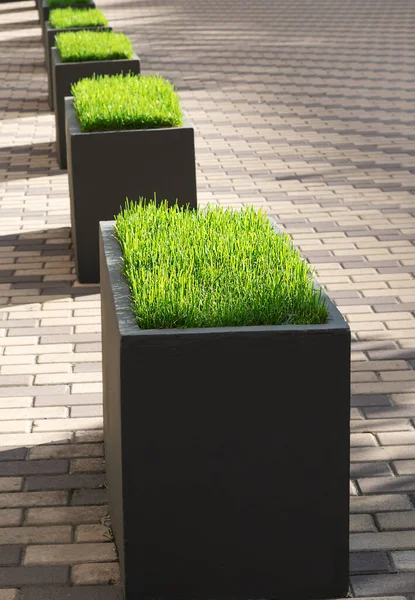 Grüner Rasen Dekorativen Blumenbeeten Auf Den Straßen Der Stadt Stadtbegrünungskonzept — Stockfoto