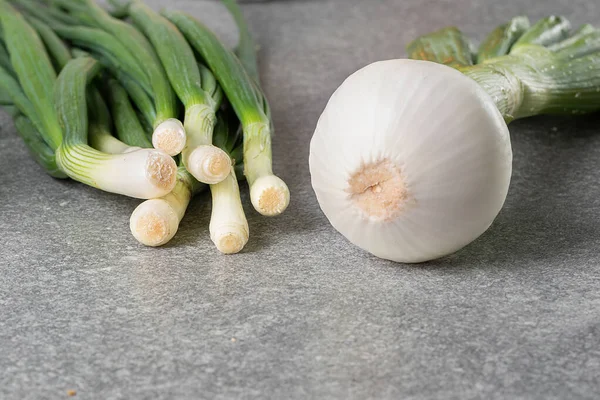 Bulbo Cebolla Joven Cebolla Verde Sobre Una Mesa Gris Comida —  Fotos de Stock