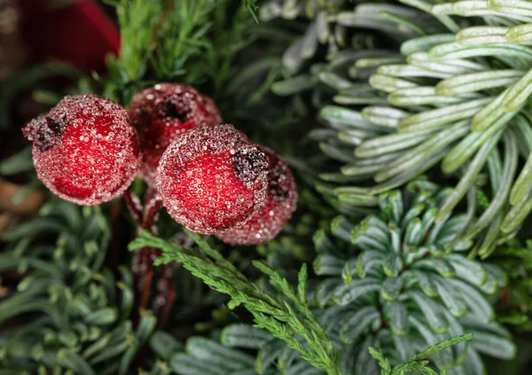 Kerstkaart Met Rode Bevroren Bessen Achtergrond Van Naaldnaalden Kerst Decor — Stockfoto