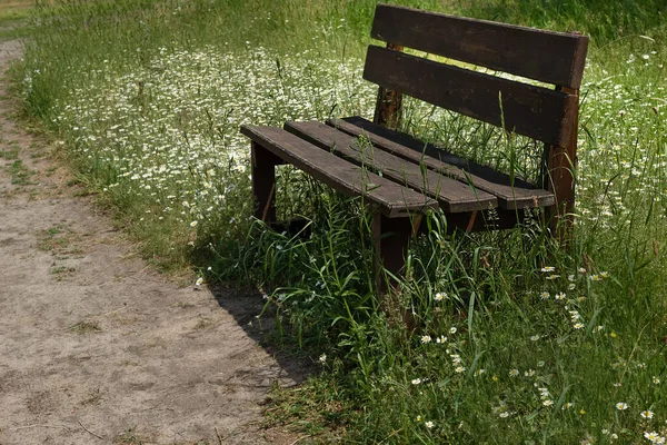 Banc Bois Foncé Sur Une Pelouse Verte Fleurs Dans Parc — Photo