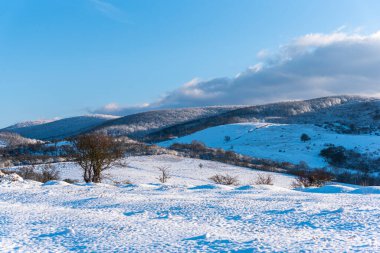 Karla kaplı ağaçlarla kaplı kış manzarası