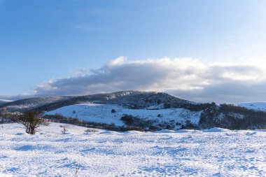 Karla kaplı ağaçlarla kaplı kış manzarası