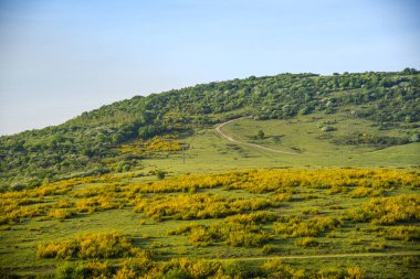 Yeşil çimenli ve mavi gökyüzü olan dağ manzarası