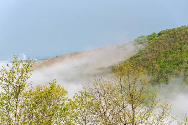 View Mountains Summer — Stock Photo, Image