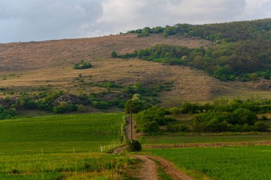 Yeşil tepeleri ve dağları olan kırsal alan