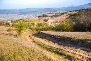 Yazın dağların manzarası