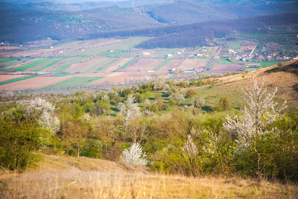 Blick Auf Das Tal Des Hügels — Stockfoto
