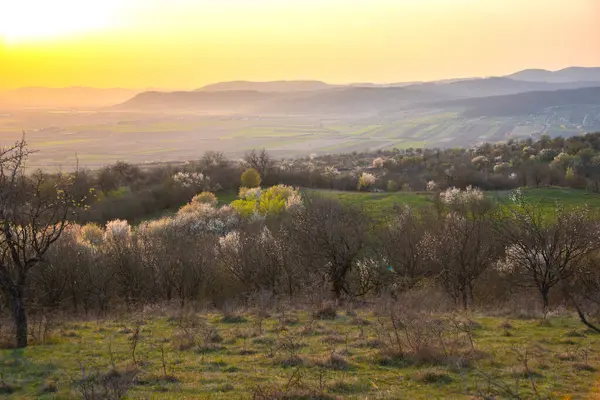 Blick Auf Die Hügel Sonnenuntergang — Stockfoto