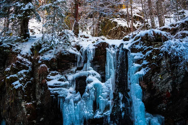 Winterlandschaft Mit Schneebedeckten Bäumen — Stockfoto