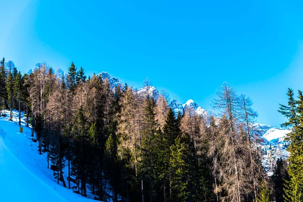 雪に覆われた木々の冬の風景 — ストック写真