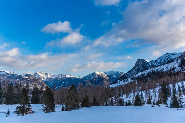 雪に覆われた木々の冬の風景 — ストック写真