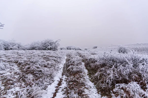 冰雪覆盖的冬季景观 — 图库照片