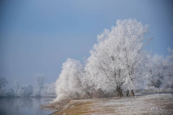 Winter Landscape Snow Covered Trees — Stock Photo, Image