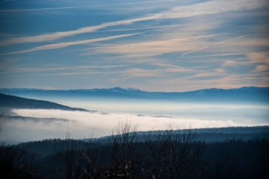Karla kaplı ağaçlarla kaplı kış manzarası