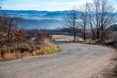 Yol ve ağaçlarla dolu sonbahar manzarası