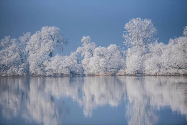 See Mit Reflexion Der Bäume Wasser Stockbild