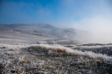 Karla kaplı ağaçlarla kaplı kış manzarası