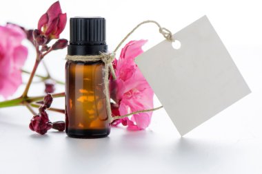 Esans, boş etiketleri ve gül çiçek