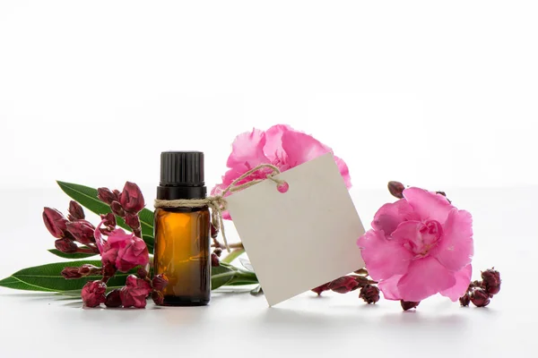 Essential oil, empty tags and roses flowers — Stock Photo, Image