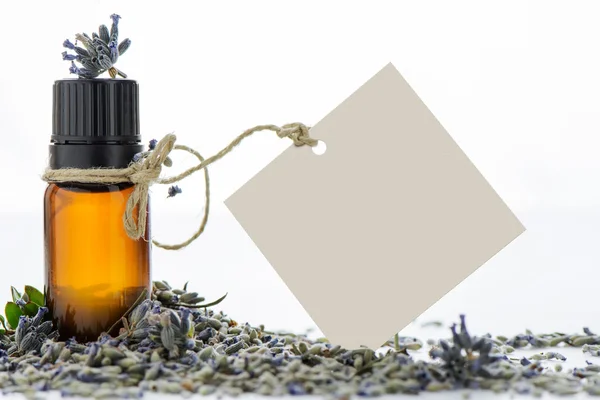 Essential oil, empty tags and lavender flowers — Stock Photo, Image