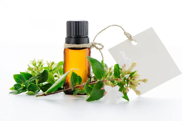 Essential oil, empty tags and  flowers — Stock Photo, Image