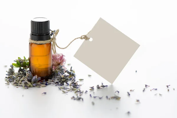 Essential oil, empty tags and lavender flowers — Stock Photo, Image
