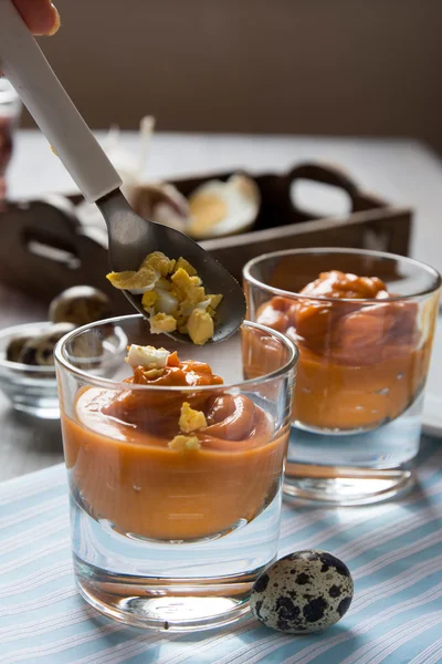 Gazpacho, cream of tomato and vegetables — Stock Photo, Image