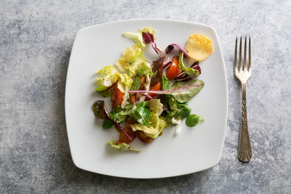 Insalata di verdure fresche con brie croccante — Foto Stock