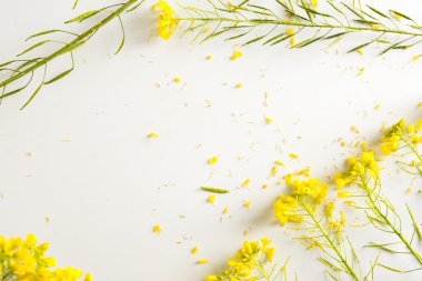 Çiçekçi, vahşi sarı çiçekler ile worktable